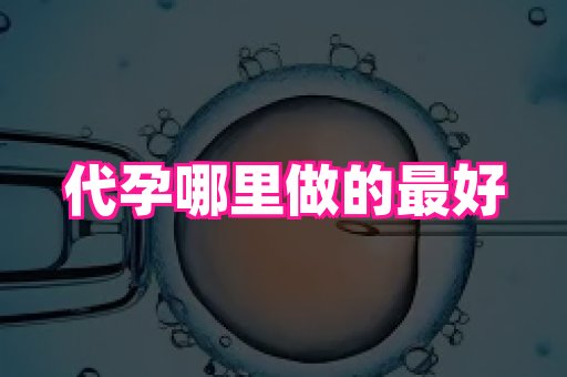 杭州助孕网 1