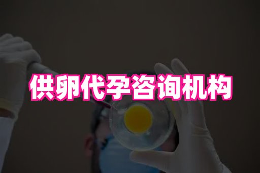 杭州助孕网 2