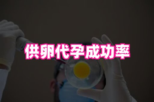 杭州助孕网 2