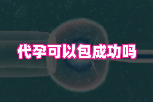 杭州助孕网 4