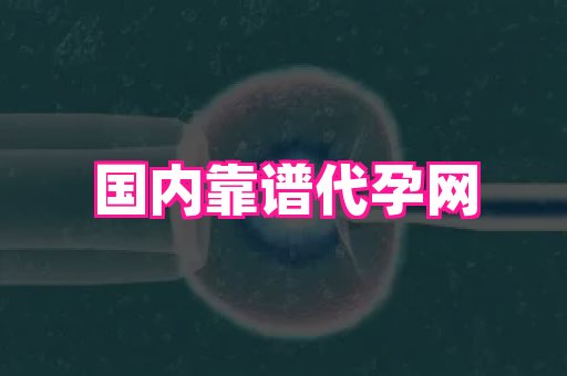 杭州助孕网 4